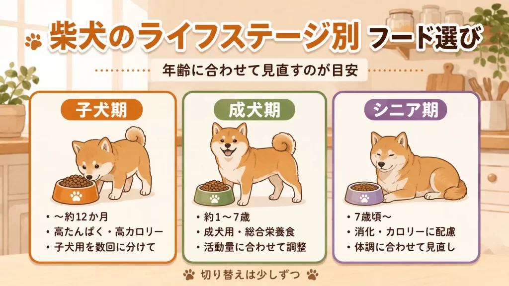 柴犬のライフステージ別のドッグフード選び（子犬・成犬・シニア）_まとめ画像