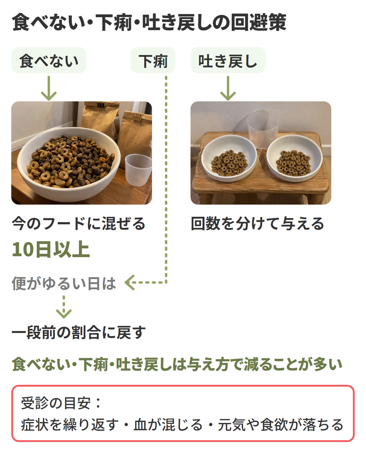 モグワンの悪い口コミに多い食べない・下痢・吐き戻しは、今のフードに混ぜて10日以上かけて切り替え、便がゆるい日は一段前の割合に戻し、吐き戻しは回数を分けて与えるといった与え方で減ることが多く、受診の目安もあると示した図