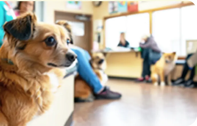 愛犬と顔を寄せ合う写真