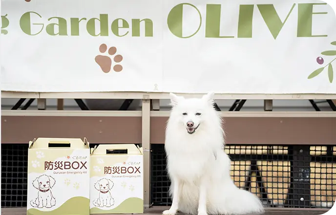 ペットと飼い主が屋外で寄り添って安心している様子